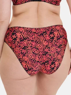 Culotte microfibre imprimée et dentelle