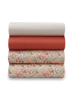 Lot de 4 culotte pur coton.