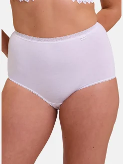 Lot de 2 culottes hautes Classique Coton