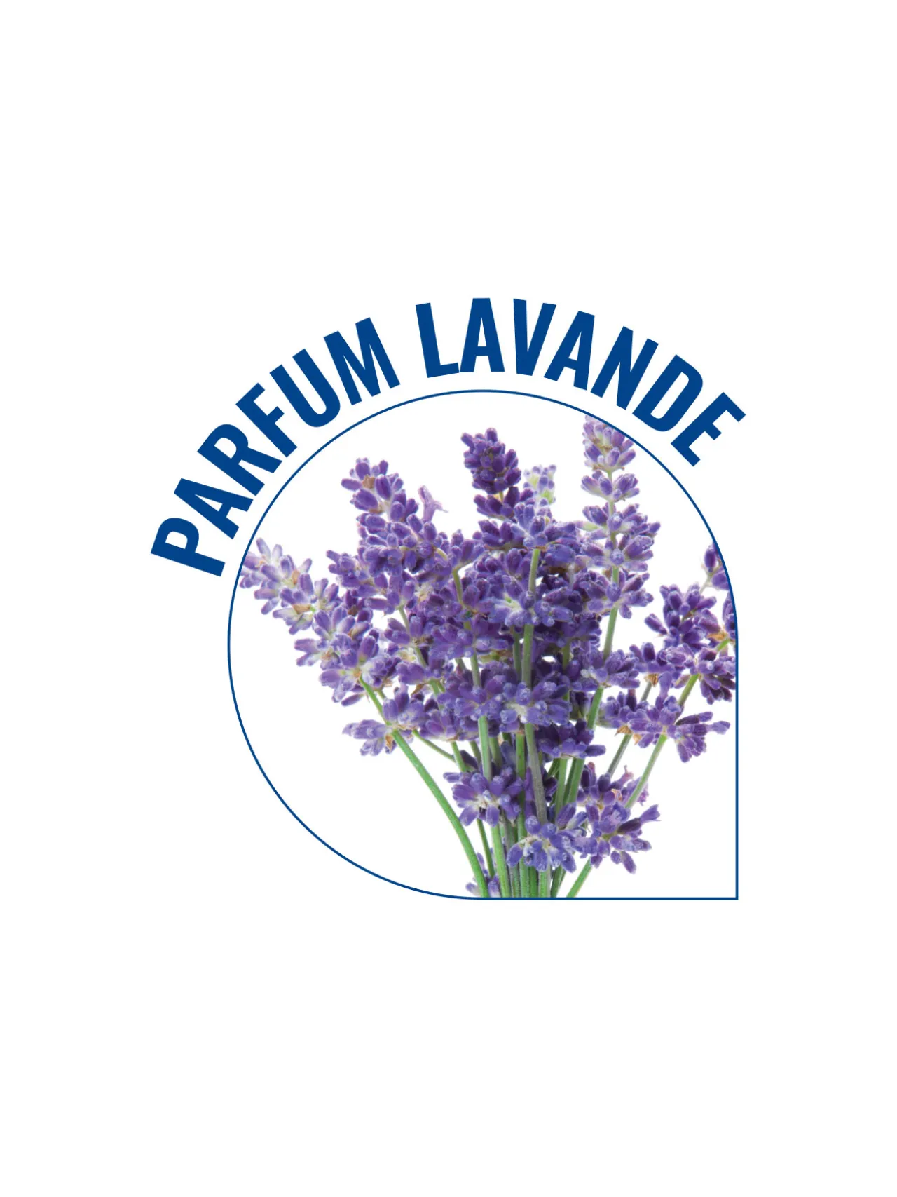 Osselets séparateurs parfum lavande