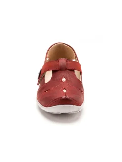 Salomés fantaisie à scratch